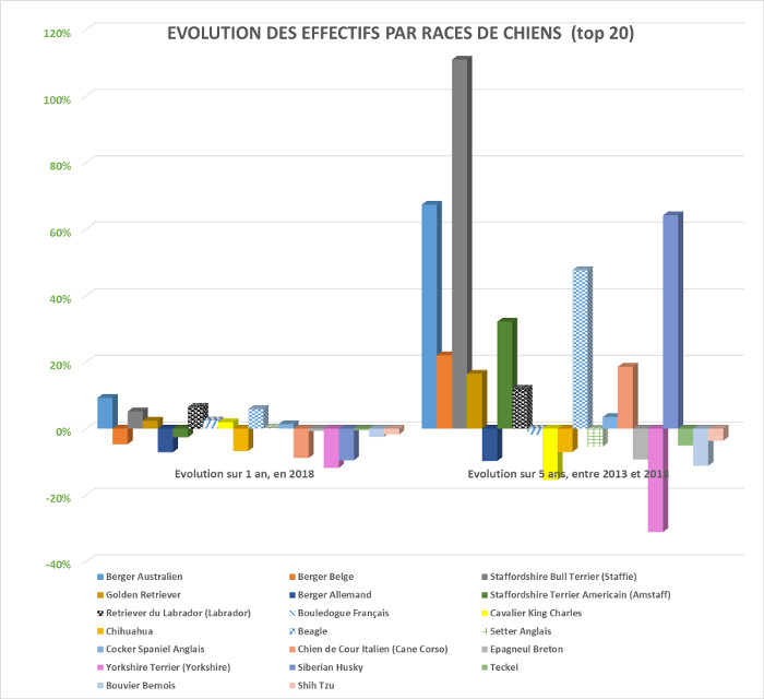 Races De Chiens Préférées Des Français En 2018 Animal Futé