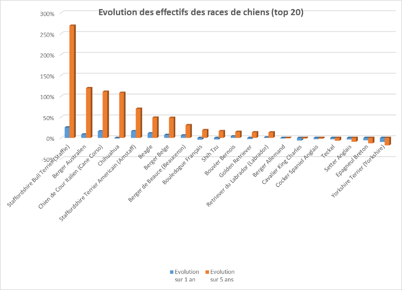 Les Races De Chiens Préférées Des Français En 2014 Animal Futé