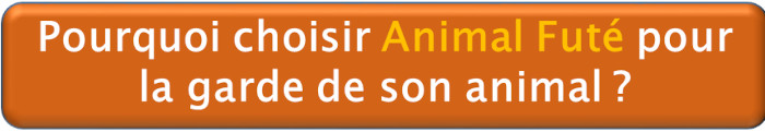 Citations Sur Les Animaux La Vie La Confiance L Amour Animal Fute